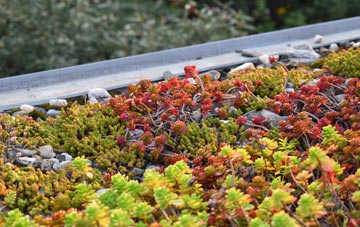 the cost of Granton green roof installation