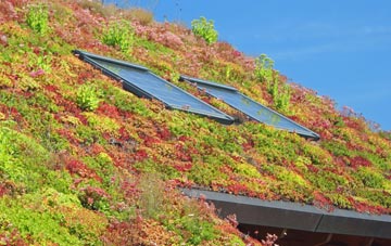Granton living roof systems
