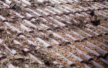 Granton roof cleaning companies